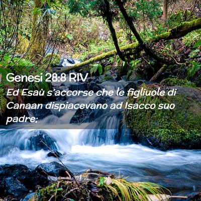 Picture 02 - Genesi 28:8 RIV - Ed Esaù s’accorse che le figliuole di Canaan - Bible Verse Picture
