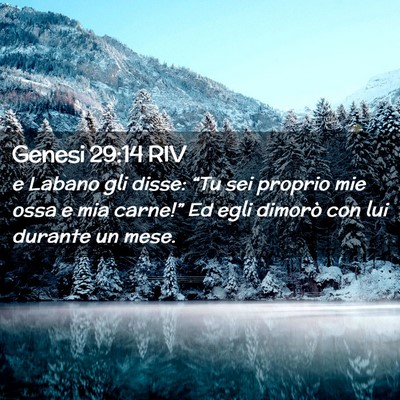 Picture 02 - Genesi 29:14 RIV - e Labano gli disse: “Tu sei proprio mie ossa e - Bible Verse Picture