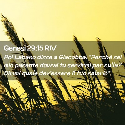 Picture 02 - Genesi 29:15 RIV - Poi Labano disse a Giacobbe: “Perché sei mio - Bible Verse Picture