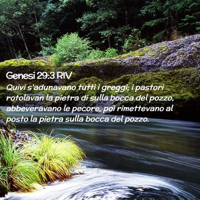 Picture 02 - Genesi 29:3 RIV - Quivi s’adunavano tutti i greggi; i pastori - Bible Verse Picture