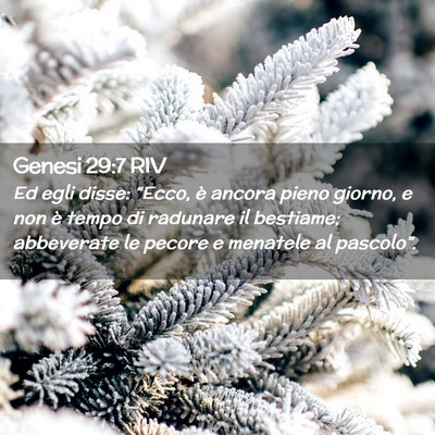 Picture 02 - Genesi 29:7 RIV - Ed egli disse: “Ecco, è ancora pieno giorno, e - Bible Verse Picture