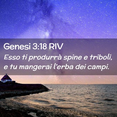 Picture 02 - Genesi 3:18 RIV - Esso ti produrrà spine e triboli, e tu mangerai - Bible Verse Picture