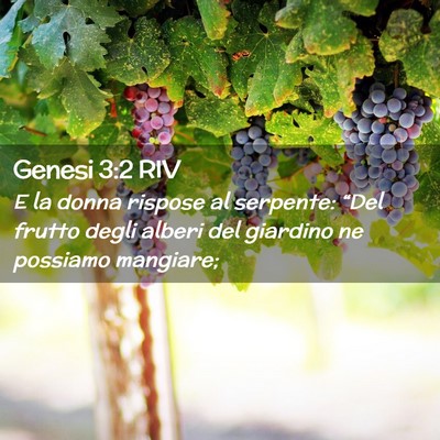 Picture 02 - Genesi 3:2 RIV - E la donna rispose al serpente: “Del frutto - Bible Verse Picture