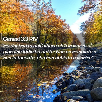 Picture 02 - Genesi 3:3 RIV - ma del frutto dell’albero ch’è in mezzo al - Bible Verse Picture