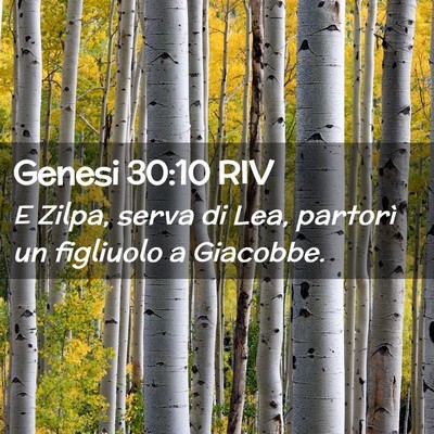 Picture 02 - Genesi 30:10 RIV - E Zilpa, serva di Lea, partorì un figliuolo a - Bible Verse Picture
