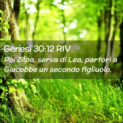 Picture 02 - Genesi 30:12 RIV - Poi Zilpa, serva di Lea, partorì a Giacobbe un - Bible Verse Picture
