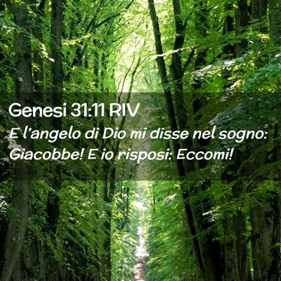 Picture 02 - Genesi 31:11 RIV - E l’angelo di Dio mi disse nel sogno: Giacobbe! - Bible Verse Picture