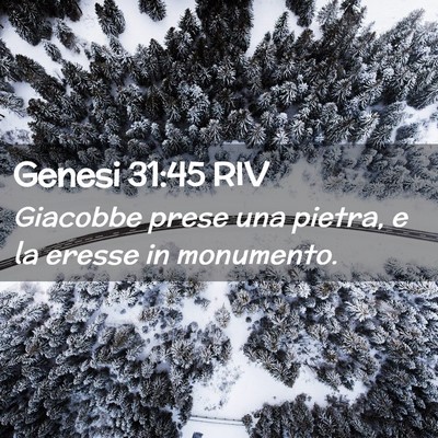Picture 02 - Genesi 31:45 RIV - Giacobbe prese una pietra, e la eresse in - Bible Verse Picture