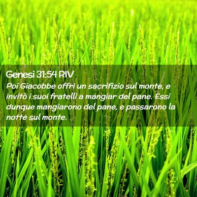 Picture 02 - Genesi 31:54 RIV - Poi Giacobbe offrì un sacrifizio sul monte, e - Bible Verse Picture