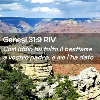 Picture 02 - Genesi 31:9 RIV - Così Iddio ha tolto il bestiame a vostro padre, - Bible Verse Picture