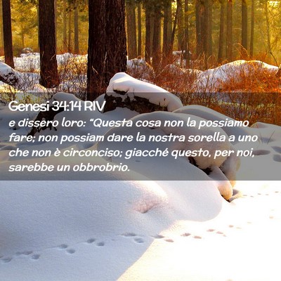 Picture 02 - Genesi 34:14 RIV - e dissero loro: “Questa cosa non la possiamo - Bible Verse Picture