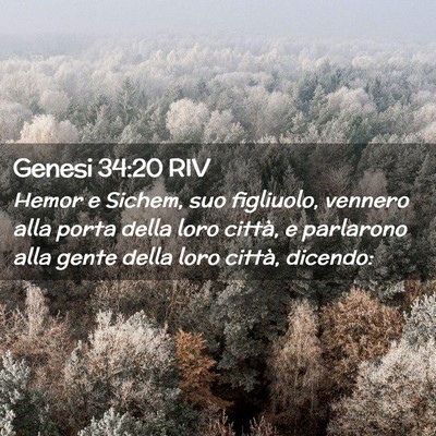 Picture 02 - Genesi 34:20 RIV - Hemor e Sichem, suo figliuolo, vennero alla porta - Bible Verse Picture
