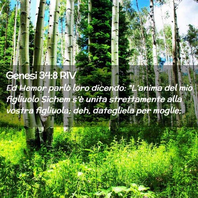 Picture 02 - Genesi 34:8 RIV - Ed Hemor parlò loro dicendo: “L’anima del - Bible Verse Picture