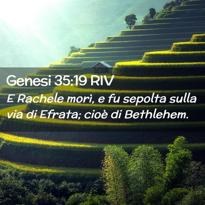 Picture 02 - Genesi 35:19 RIV - E Rachele morì, e fu sepolta sulla via di - Bible Verse Picture