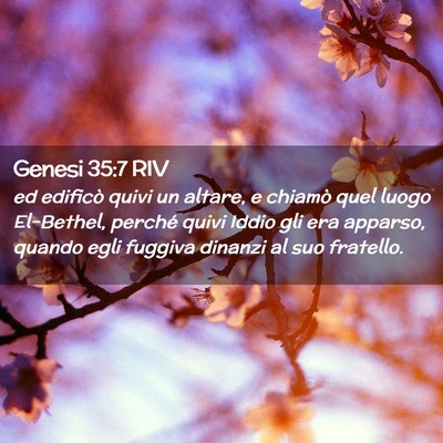 Picture 02 - Genesi 35:7 RIV - ed edificò quivi un altare, e chiamò quel luogo - Bible Verse Picture
