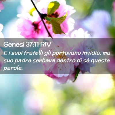 Picture 02 - Genesi 37:11 RIV - E i suoi fratelli gli portavano invidia, ma suo - Bible Verse Picture