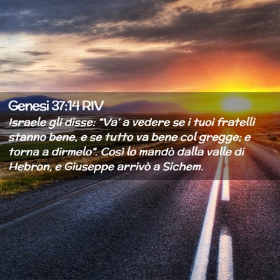 Picture 02 - Genesi 37:14 RIV - Israele gli disse: “Va’ a vedere se i tuoi - Bible Verse Picture