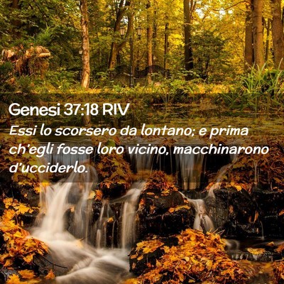 Picture 02 - Genesi 37:18 RIV - Essi lo scorsero da lontano; e prima ch’egli - Bible Verse Picture