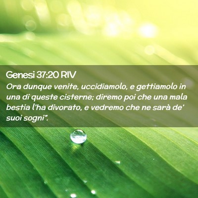 Picture 02 - Genesi 37:20 RIV - Ora dunque venite, uccidiamolo, e gettiamolo in - Bible Verse Picture