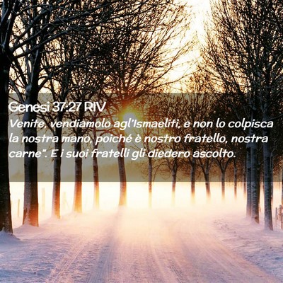 Picture 02 - Genesi 37:27 RIV - Venite, vendiamolo agl’Ismaeliti, e non lo - Bible Verse Picture