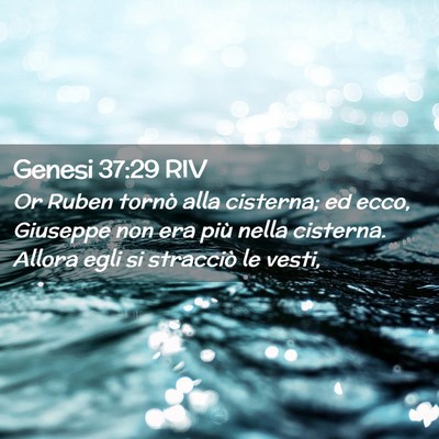 Picture 02 - Genesi 37:29 RIV - Or Ruben tornò alla cisterna; ed ecco, Giuseppe - Bible Verse Picture