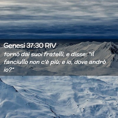 Picture 02 - Genesi 37:30 RIV - tornò dai suoi fratelli, e disse: “Il - Bible Verse Picture