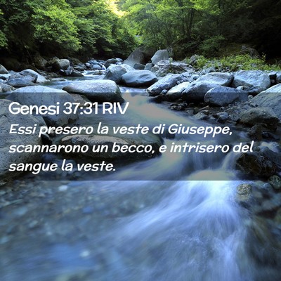 Picture 02 - Genesi 37:31 RIV - Essi presero la veste di Giuseppe, scannarono un - Bible Verse Picture