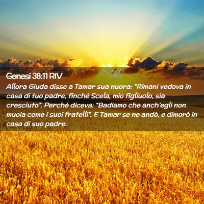 Picture 02 - Genesi 38:11 RIV - Allora Giuda disse a Tamar sua nuora: “Rimani - Bible Verse Picture