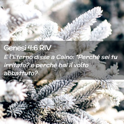 Picture 02 - Genesi 4:6 RIV - E l’Eterno disse a Caino: “Perché sei tu - Bible Verse Picture