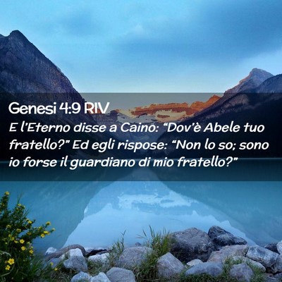 Picture 02 - Genesi 4:9 RIV - E l’Eterno disse a Caino: “Dov’è Abele tuo - Bible Verse Picture
