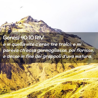 Picture 02 - Genesi 40:10 RIV - e in quella vite c’eran tre tralci; e mi pareva - Bible Verse Picture