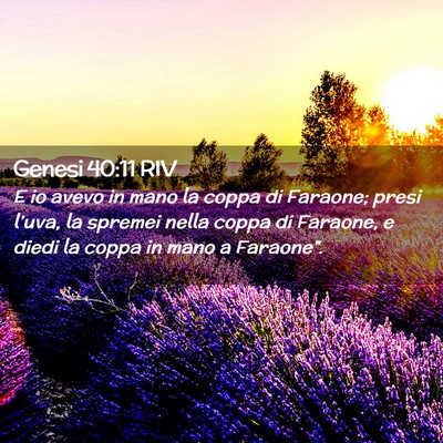 Picture 02 - Genesi 40:11 RIV - E io avevo in mano la coppa di Faraone; presi - Bible Verse Picture
