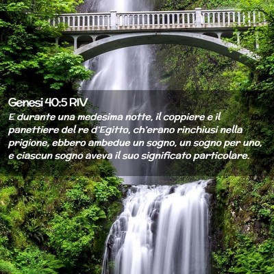 Picture 02 - Genesi 40:5 RIV - E durante una medesima notte, il coppiere e il - Bible Verse Picture