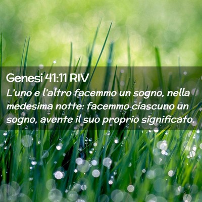 Picture 02 - Genesi 41:11 RIV - L’uno e l’altro facemmo un sogno, nella - Bible Verse Picture