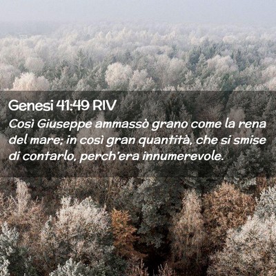 Picture 02 - Genesi 41:49 RIV - Così Giuseppe ammassò grano come la rena del - Bible Verse Picture