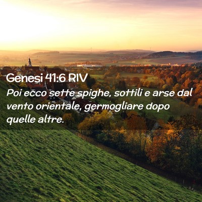 Picture 02 - Genesi 41:6 RIV - Poi ecco sette spighe, sottili e arse dal vento - Bible Verse Picture