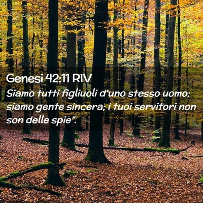 Picture 02 - Genesi 42:11 RIV - Siamo tutti figliuoli d’uno stesso uomo; siamo - Bible Verse Picture