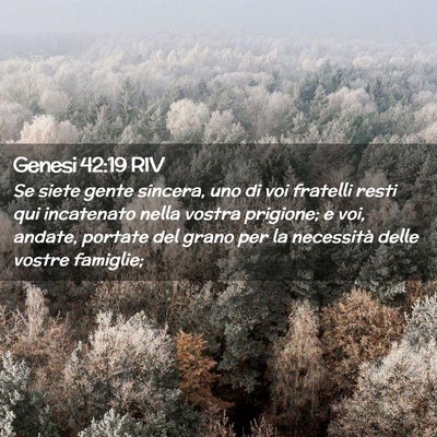 Picture 02 - Genesi 42:19 RIV - Se siete gente sincera, uno di voi fratelli resti - Bible Verse Picture