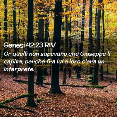 Picture 02 - Genesi 42:23 RIV - Or quelli non sapevano che Giuseppe li capiva, - Bible Verse Picture