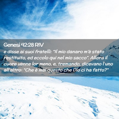 Picture 02 - Genesi 42:28 RIV - e disse ai suoi fratelli: “Il mio danaro m’è - Bible Verse Picture