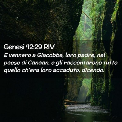Picture 02 - Genesi 42:29 RIV - E vennero a Giacobbe, loro padre, nel paese di - Bible Verse Picture