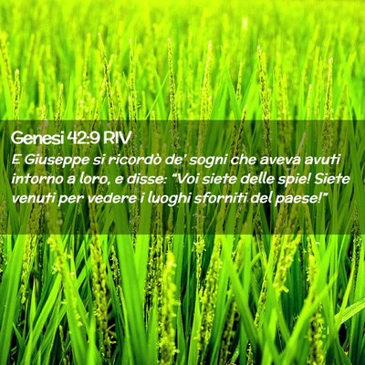 Picture 02 - Genesi 42:9 RIV - E Giuseppe si ricordò de’ sogni che aveva - Bible Verse Picture