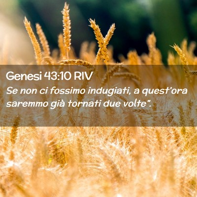 Picture 02 - Genesi 43:10 RIV - Se non ci fossimo indugiati, a quest’ora - Bible Verse Picture
