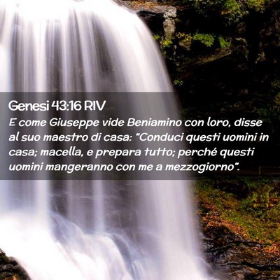 Picture 02 - Genesi 43:16 RIV - E come Giuseppe vide Beniamino con loro, disse al - Bible Verse Picture