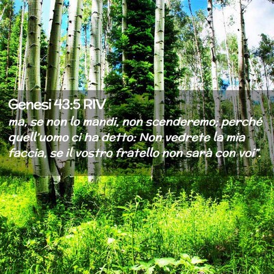 Picture 02 - Genesi 43:5 RIV - ma, se non lo mandi, non scenderemo; perché - Bible Verse Picture