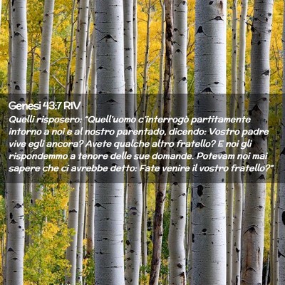 Picture 02 - Genesi 43:7 RIV - Quelli risposero: “Quell’uomo c’interrogò - Bible Verse Picture