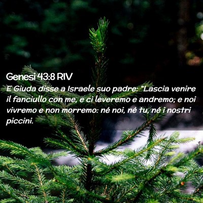 Picture 02 - Genesi 43:8 RIV - E Giuda disse a Israele suo padre: “Lascia - Bible Verse Picture