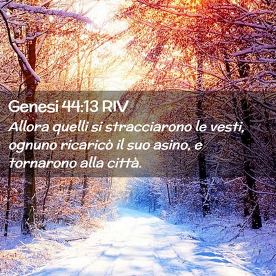 Picture 02 - Genesi 44:13 RIV - Allora quelli si stracciarono le vesti, ognuno - Bible Verse Picture