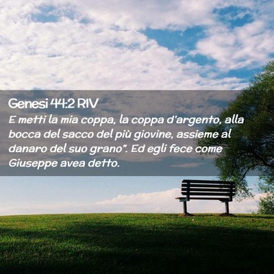 Picture 02 - Genesi 44:2 RIV - E metti la mia coppa, la coppa d’argento, alla - Bible Verse Picture