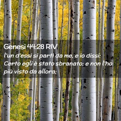 Picture 02 - Genesi 44:28 RIV - l’un d’essi si partì da me, e io dissi: - Bible Verse Picture